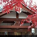 120168嵐山天龍寺 (40).JPG