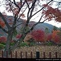 120183弘源寺09.JPG