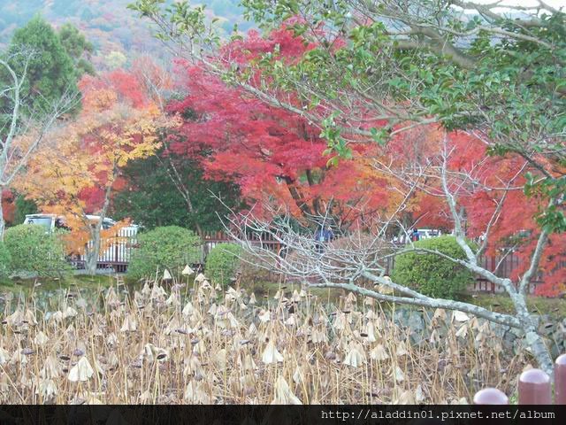 120184弘源寺04.JPG