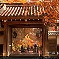 120421光明寺 (55).JPG