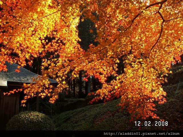 1202大原寶泉寺 (03)