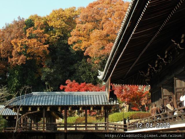 1204光明寺 (13)