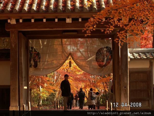 1204光明寺 (53)