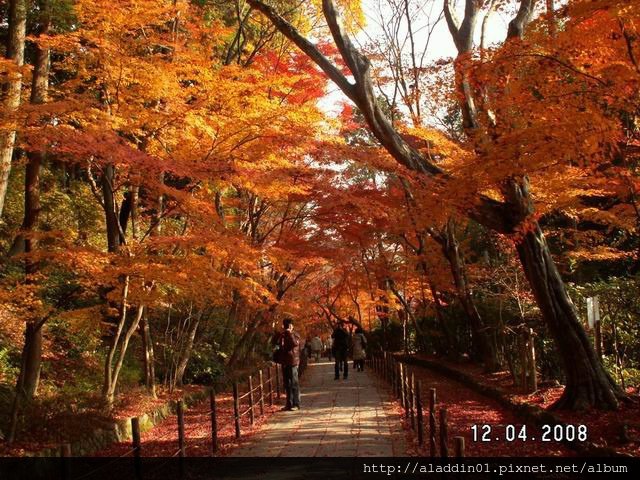 1204光明寺 (57)