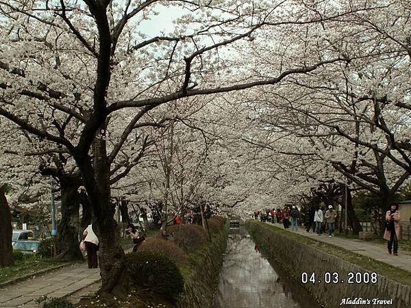 0403A銀閣寺36.jpg