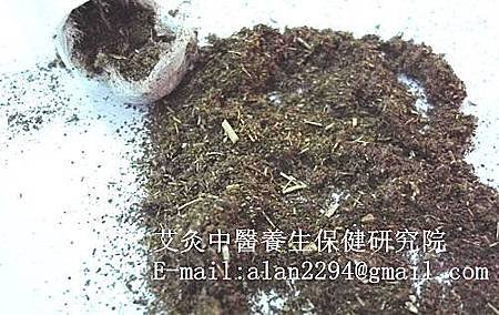ce0a10fe391a90356e8184bc9b294869