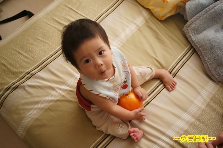 DSC01982.jpg