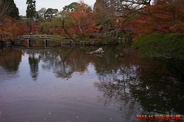 L1016596.jpg