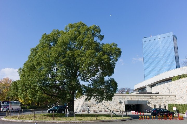 L1017740.jpg