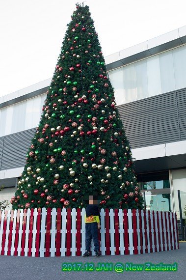 PhotoCap_003.jpg