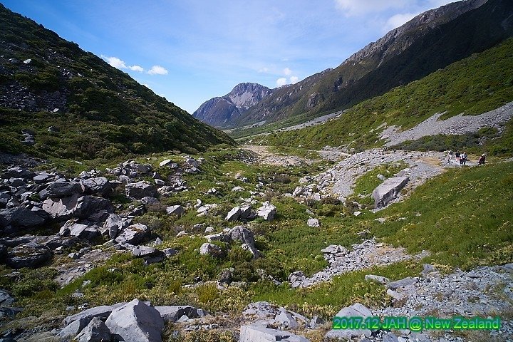 DSC01413.jpg
