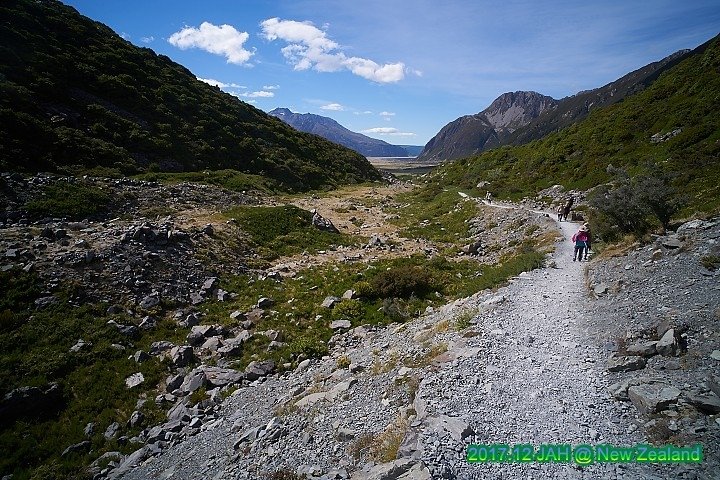 DSC01447.jpg