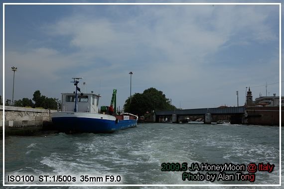 IMG_6555.jpg