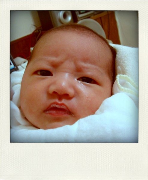 yoyo-pola.jpg