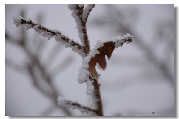 DSC_1414.JPG