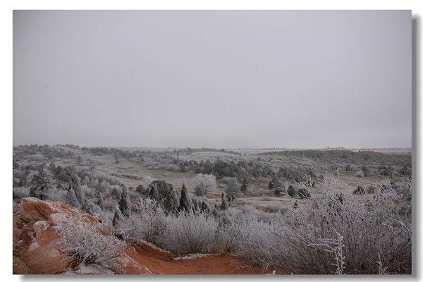 DSC_1440.JPG