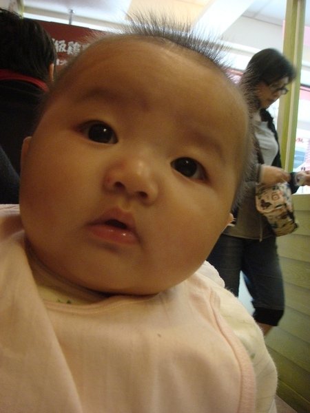 DSC03911.jpg