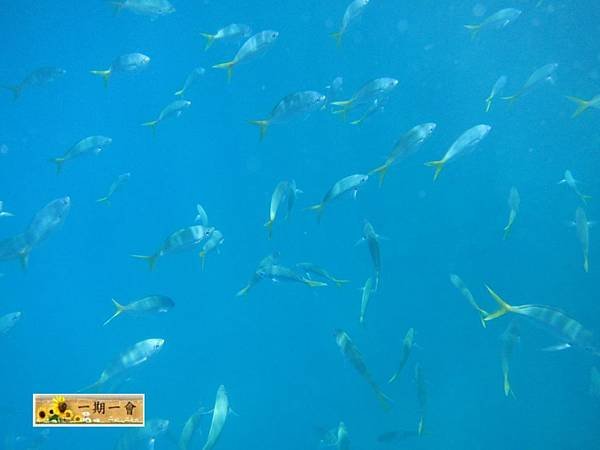 Rock islands 123 117