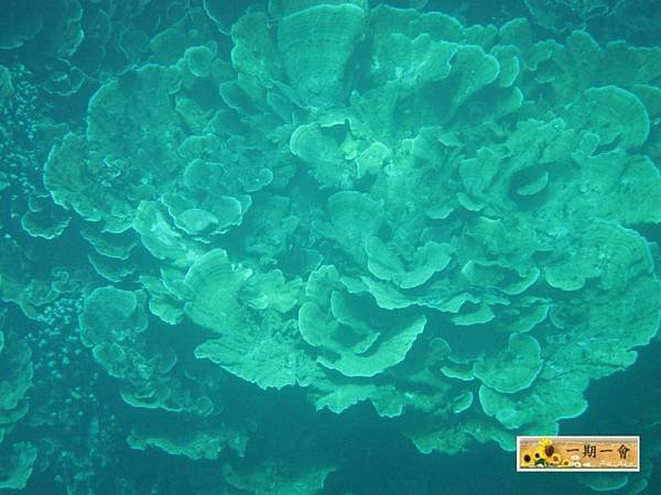 Rock islands 123 123