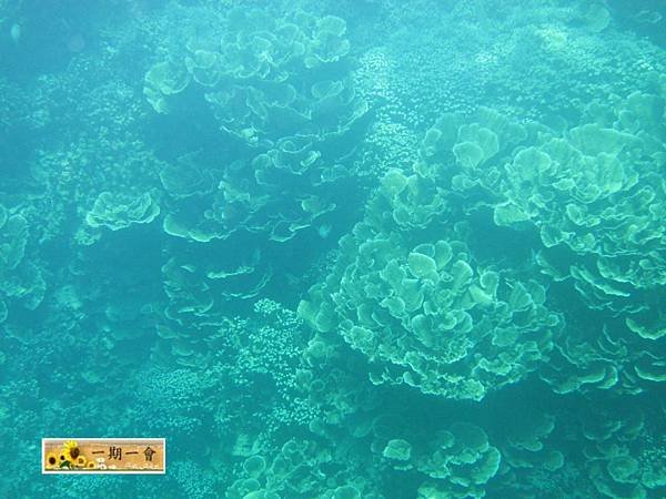 Rock islands 123 124