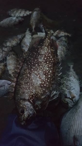 20201006_174646.jpg