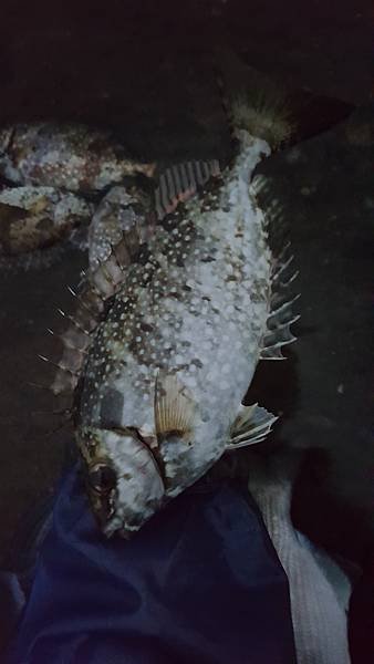 20201006_174617.jpg