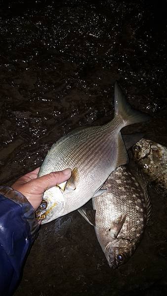 20201222_172505.jpg