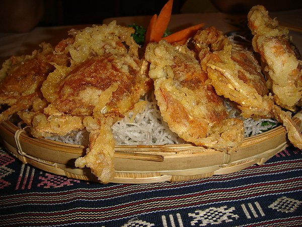 DSC02138.JPG