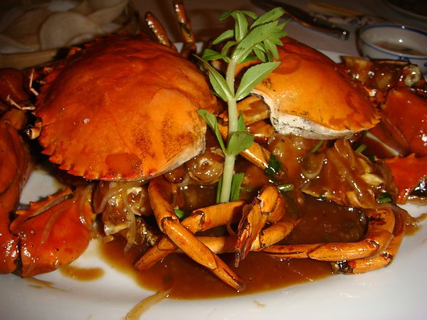 DSC02144.JPG