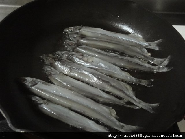 DSC03839.JPG