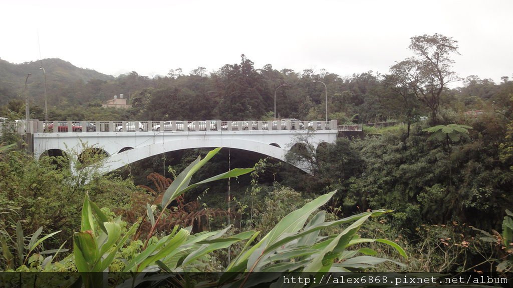 DSC04966