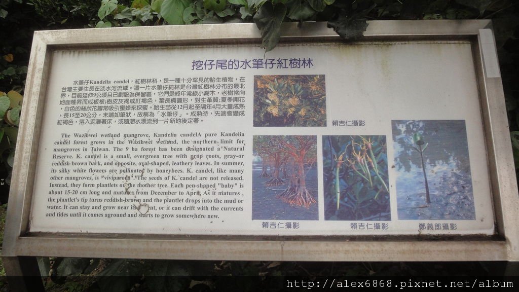 DSC01088