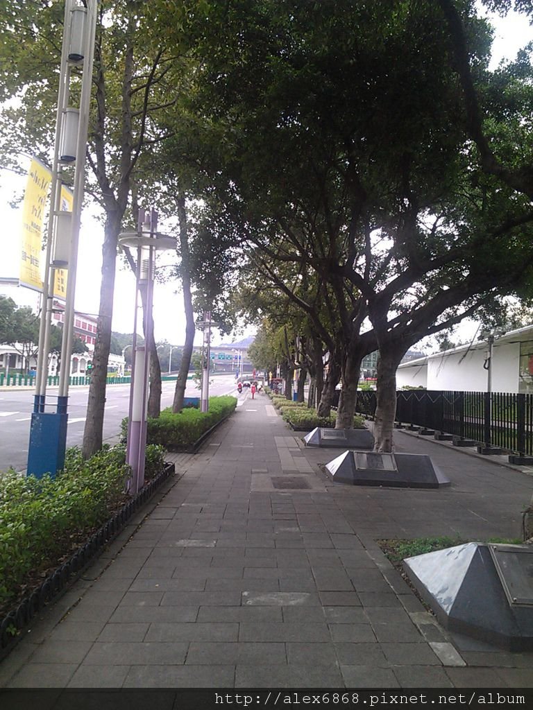 IMAG2918
