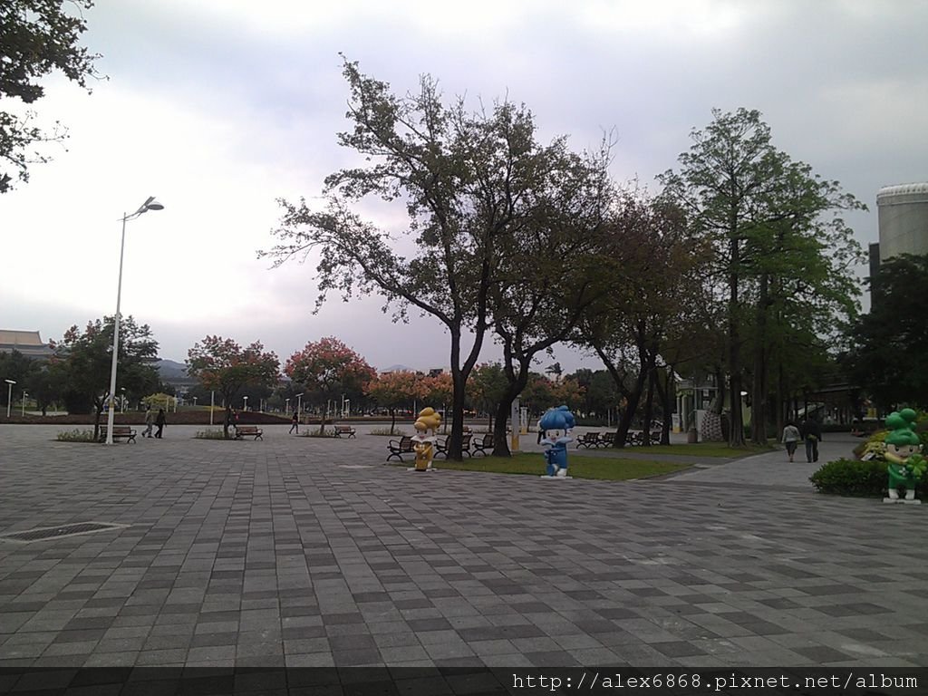 IMAG2952