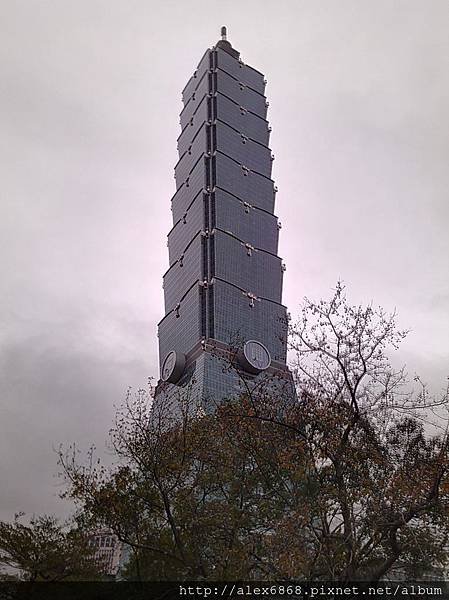 IMAG8508