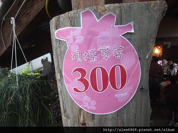 DSC05235