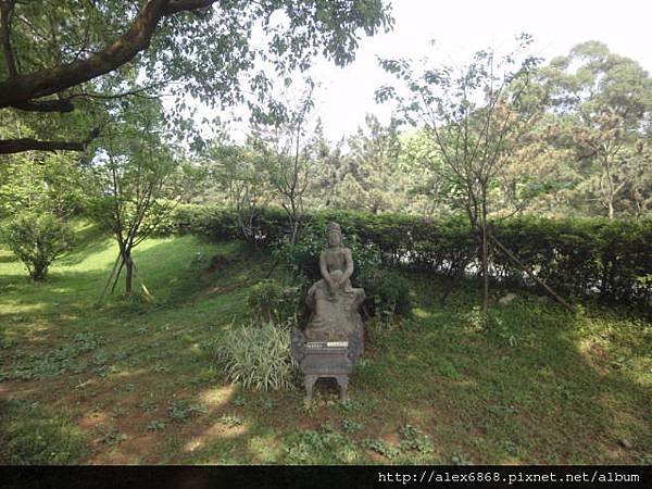 DSC09055