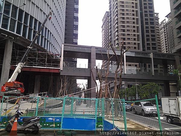 IMAG2905.jpg