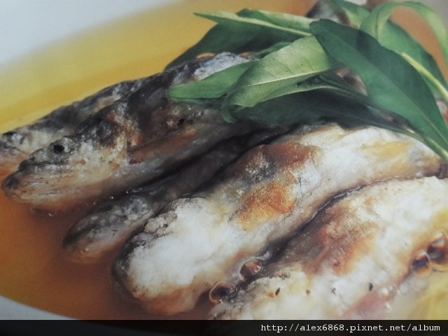 DSC09506.JPG