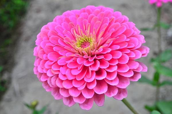 2011 1105 123.jpg