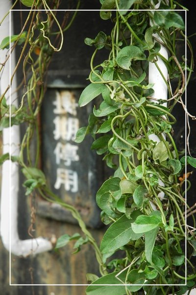 0922 火車墳場 034.jpg