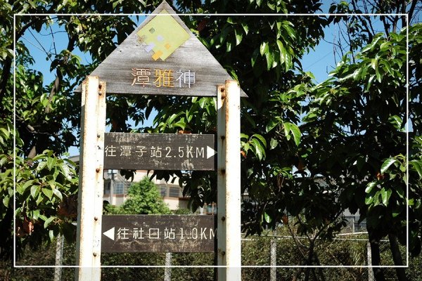 1009 潭雅神 159.jpg
