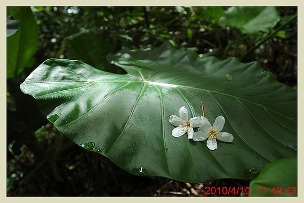 2010 0410 019.jpg
