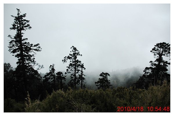 2010 0418 031.jpg