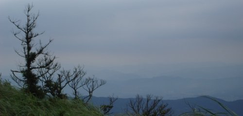DSC03651.jpg