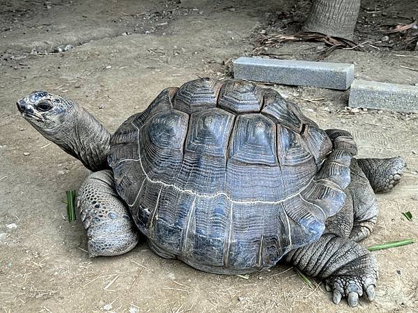 (新竹香山) 廢物媽媽育兒農場-小動物的歡樂世界