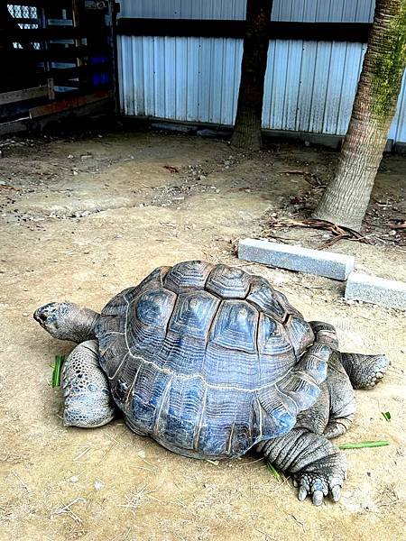 (新竹香山) 廢物媽媽育兒農場-小動物的歡樂世界