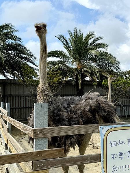 (新竹香山) 廢物媽媽育兒農場-小動物的歡樂世界