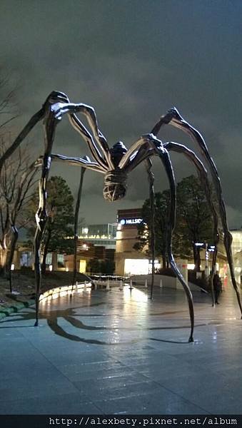 WP_20140204_004