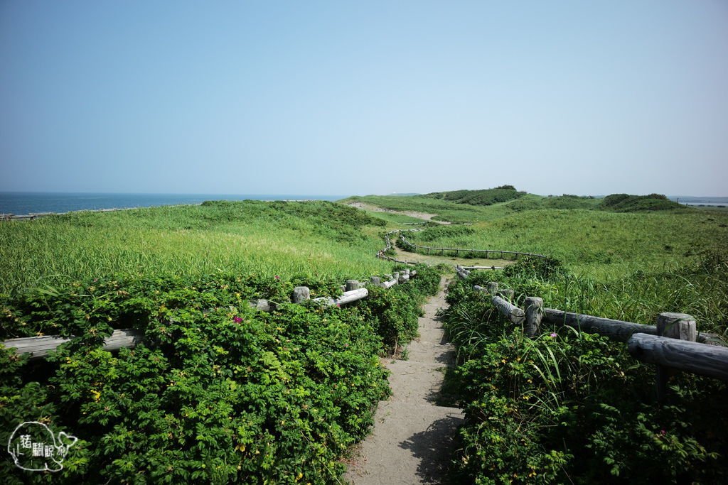 L1003102.JPG